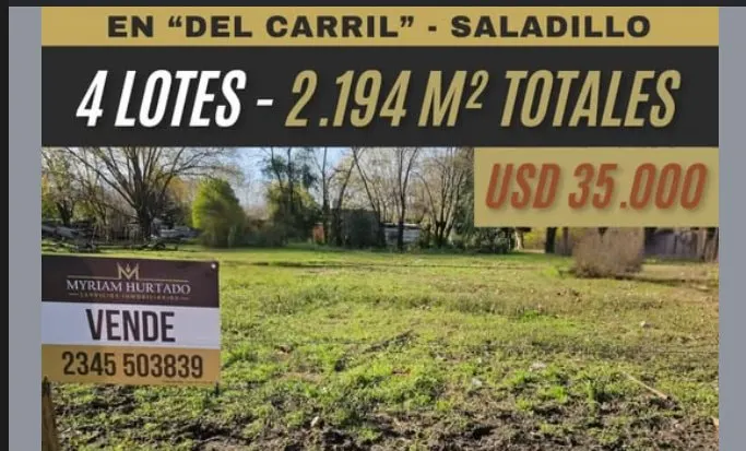 4 lotes en Del Carril