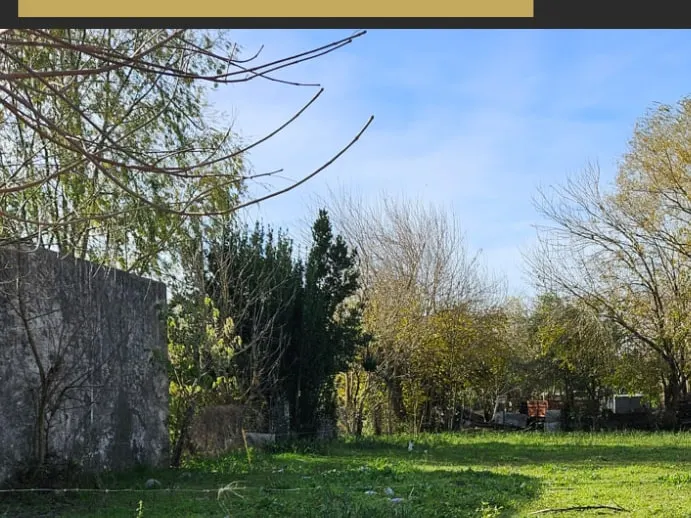 Lote en Del Carril