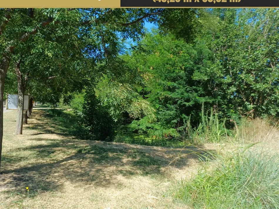 Último lote en Chacras al Norte