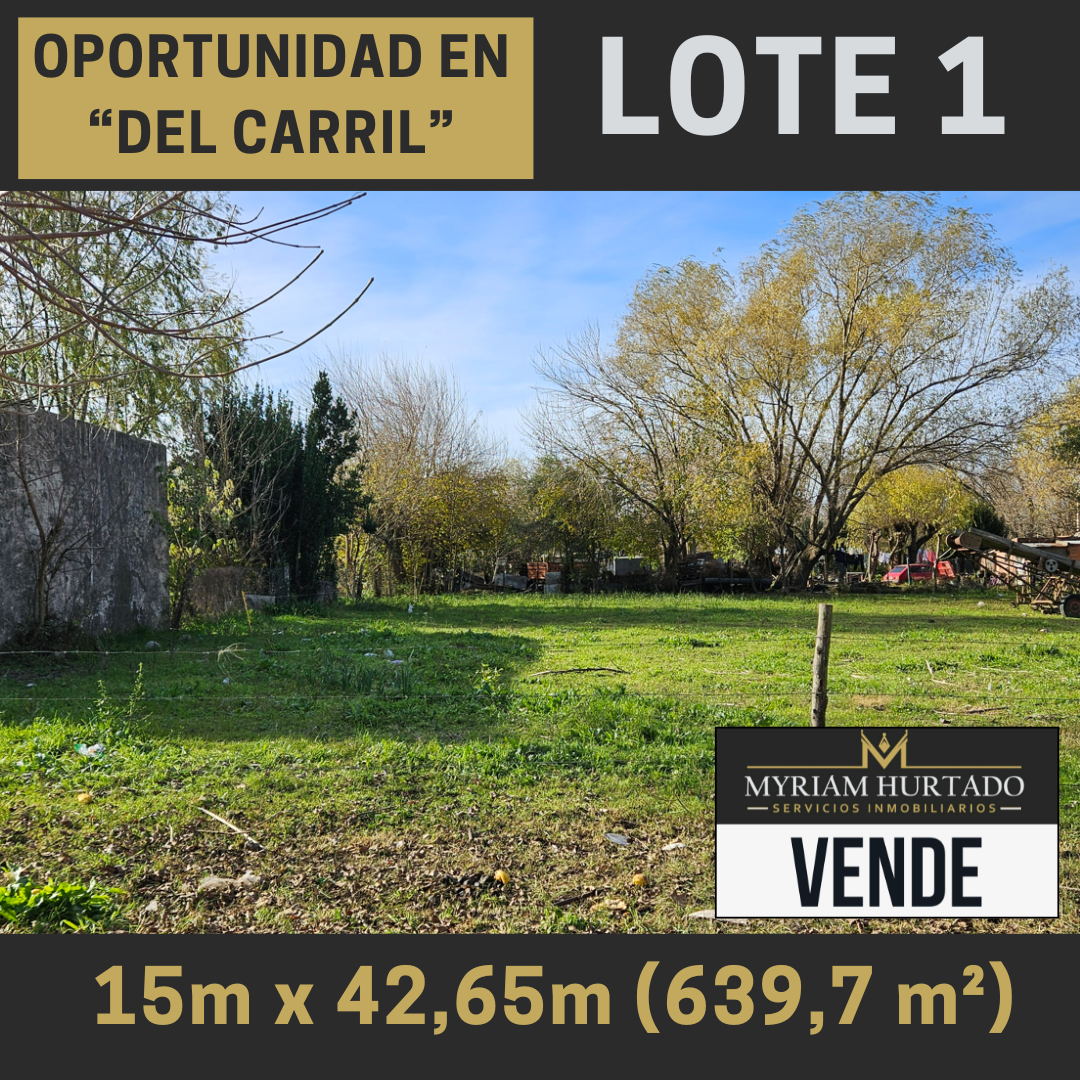 Hermoso lote en Del Carril, Saladillo