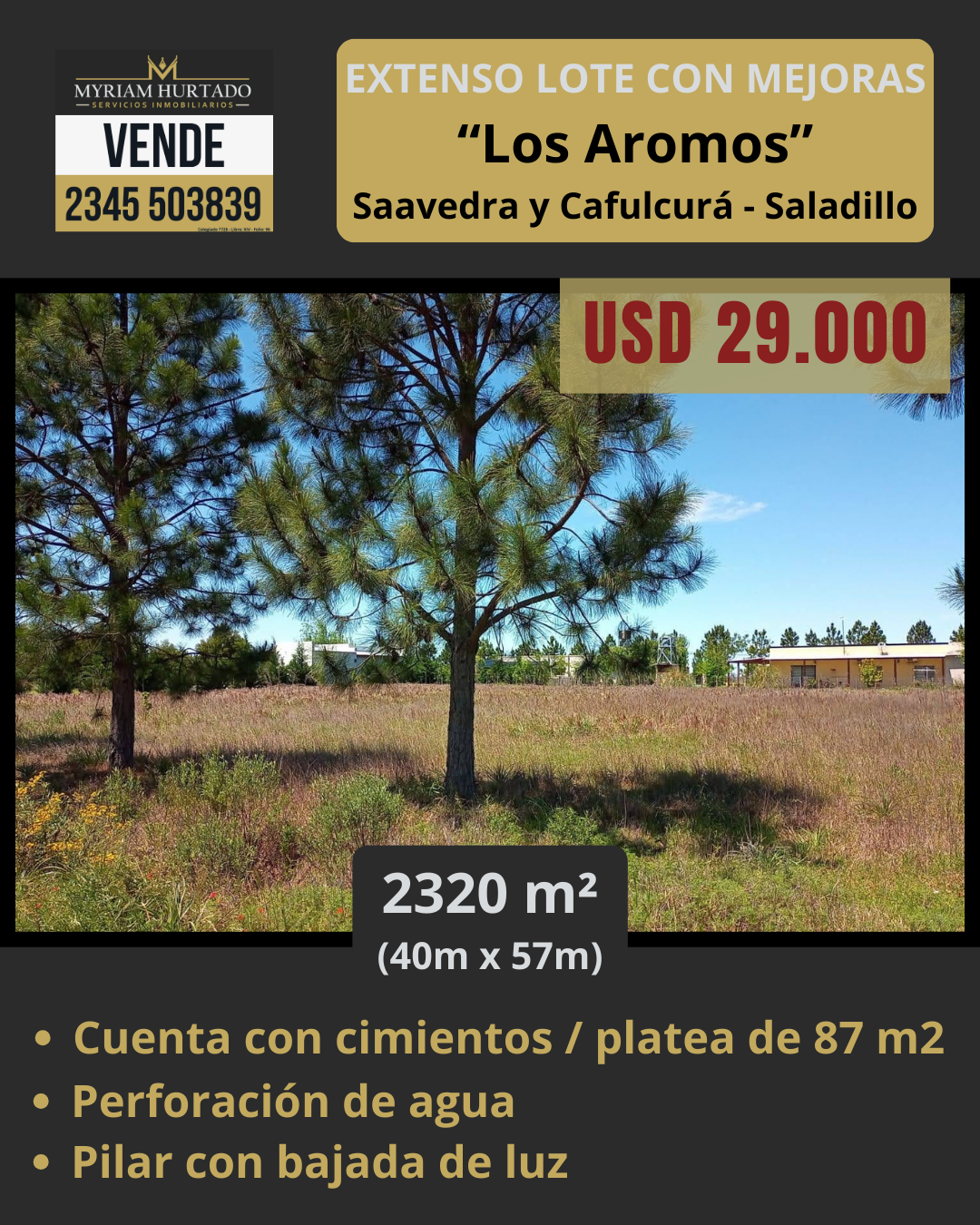 Lote Los Aromos con cimientos y servicios